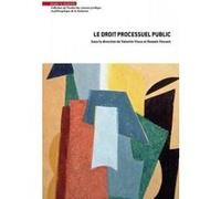 Le droit processuel public Valentin Vince (Auteur), Romain Vincent (Auteur)