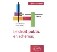 Le droit public en schémas A jour au 15 février 2024 - François Wilinski - Ellipses - broché - Scolaire / Universitaire
