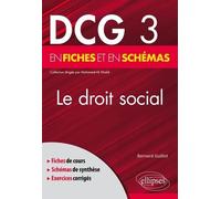 Le Droit Social En Fiches Et En Schémas Dcg 3