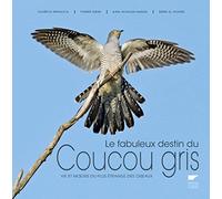 Le Fabuleux destin du coucou gris: Vie et murs du plus étrange des oiseaux