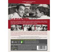 Le Fanfaron (1962) / Il Sorpasso (Blu Ray)