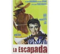 Le Fanfaron (1962) / Il sorpasso (DVD) G