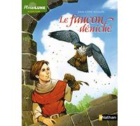 Le faucon déniché Jean-Côme Noguès (Auteur), Vincent Dutrait (Illustration)