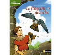 Le faucon déniché Jean-Côme Noguès (Auteur), Vincent Dutrait (Illustration)