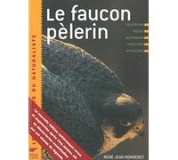 Le faucon pèlerin