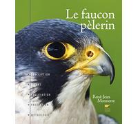 Le Faucon Pèlerin: Description, moeurs, observation, protection, mythologie