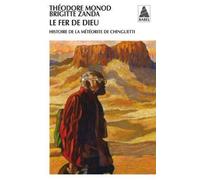 Le Fer de Dieu: Histoire de la météorite de Chinguetti