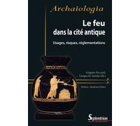 Le feu dans la cité antique Usages, risques, réglementations - Grégoire Poccardi - Presses Universitaires Du Septen-Trion - broché - Essai