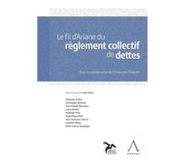 Le Fil D'ariane Du Règlement Collectif De Dettes