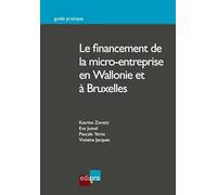 LE FINANCEMENT DE LA MICRO-ENTREPRISE EN WALLONIE ET À BRUXELLES