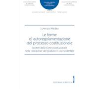 Le forme di autoregolamentazione del processo costituzionale. I poteri della Corte Costituzionale nella «disciplina» del giudizio in via incidentale