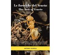 Le formiche del Veneto. Guida al riconoscimento delle specie con note di mirmecologia generale-The ants of Veneto. Guide to recognition of species with notes of general myopecology