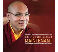 Le Futur, C'est Maintenant - Conseils Pour L'avènement D'un Monde Meilleur