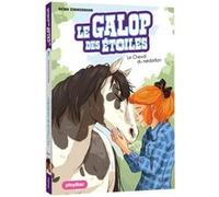 Le Galop des Étoiles - Le cheval du médaillon - Tome 7 Naïma Zimmermann (Auteur), Ariane Delrieu (Illustration)