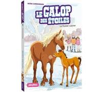 Le Galop des Etoiles - Le poulain surprise - Tome 5 Naïma Zimmermann (Auteur), Ariane Delrieu (Illustration)