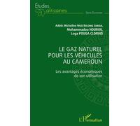 Le Gaz Naturel Pour Les Véhicules Au Cameroun