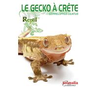 Le gecko a crête : Correlophus ciliatus