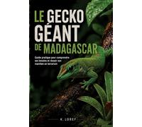 Le gecko géant de Madagascar: Guide pratique pour comprendre ses besoins et réussir son maintien en terrarium