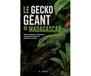 Le gecko géant de Madagascar: Guide pratique pour comprendre ses besoins et réussir son maintien en terrarium