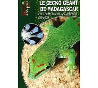 Le gecko géant de Madagascar - Phelsuma madagascariensis grandis - Collectif - Animalia - broché - Guide