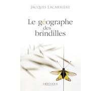 Le géographe des brindilles