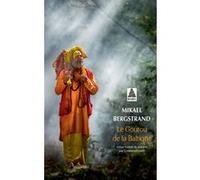 Le Gourou de la Baltique Mikael Bergstrand (Auteur), Emmanuel Curtil (Traduction)