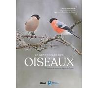 Le grand Atlas des oiseaux Collectif (Auteur), Guilhem Lesaffre (Préface)