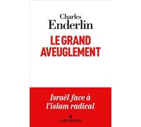 Le Grand Aveuglement (édition 2024) Israël face à l'islam radical - Charles Enderlin - Albin Michel - broché - Essai