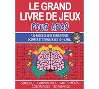 Le Grand Livre De Jeux Pour Ados: Cahier d'Activités Pour Les 12-16 ans - Sudoku - Mots-Mêlés - Labyrinthes - Coloriages - Bande dessinée vierge.