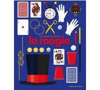Le grand livre de la magie Joe Fullman (Auteur), Bruno Porlier (Traduction), Mark Turner (Illustration)