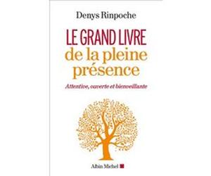 Le Grand Livre de la pleine présence Denys Rimpoche (Auteur)
