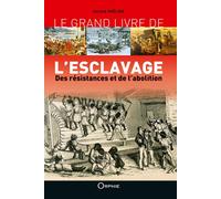 Le grand livre de l'esclavage: Des résistances et de l'abolition