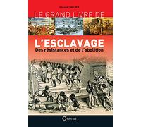 Le grand livre de l'esclavage: Des résistances et de l'abolition