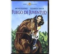 Le Grand National (1944) / National Velvet (DVD)) (Booklet) G