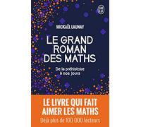 Le Grand Roman Des Maths - De La Préhistoire À Nos Jours