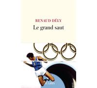 Le grand saut - Renaud Dély - Lattes - broché - Roman