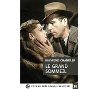 Le grand sommeil Grands caractères, édition accessible pour les malvoyants - Raymond Chandler - Voir De Pres - broché - Roman