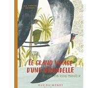 Le grand voyage d'une hirondelle: Journal d'un oiseau migrateur