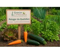 Le Grenier d’Abondance - Kit de Semences “Potager du Quotidien” à semer : légumes faciles, saveurs maison toute l’année