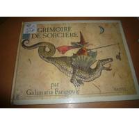 Le Grimoire de sorcière : Recettes, usages et histoires secrètes