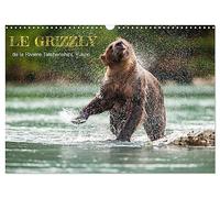 LE GRIZZLY de la Rivière Tatshenshini. Yukon (Calendrier mural 2027 DIN A3 vertical), CALVENDO calendrier mensuel: 13 PHOTOS DE L'OURS GRIZZLY