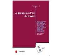 Le groupe en droit du travail Collectif (Auteur)