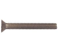 Le groupe Hillman 825600 Vis Phillips en machine à tête plate en acier inoxydable, 1/4-50,8 cm X 2-1/5,1 cm, 50-pack