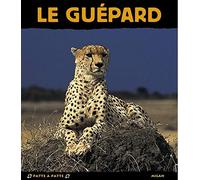Le Guépard
