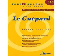 Le guépard - Lampedusa