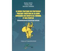 Le Guide Pratique Du Protocole Portant Création De La Cour Africaine Des Droits De L'homme Et Des Peuples - Commentaires Article Par Article