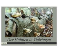 Le Hainich en Thuringe - patrimoine naturel mondial (Calendrier mural 2026 DIN A3 horizontal), CALVENDO calendrier mensuel