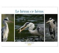 Le héron ce héros de l'étang Colbert (Calendrier mural 2027 DIN A2 vertical), CALVENDO calendrier mensuel: L'activité du héron cendré au bord d'un étang.