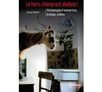 Le hors-champ est dedans ! Jacopo Rasmi (Auteur)