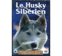 Le Husky Sibérien
